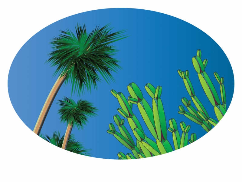 File:Palms cactus.png