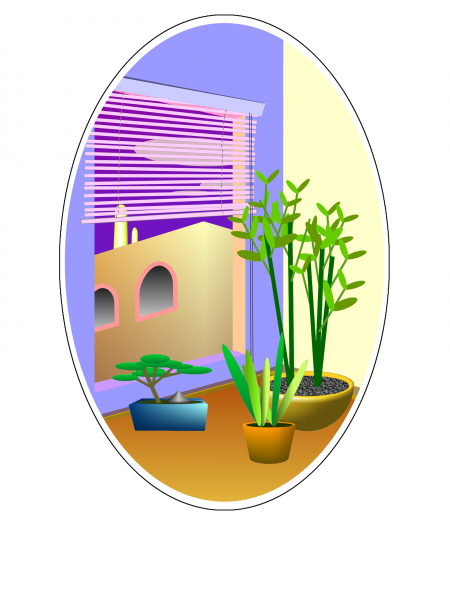 File:Indoor plants.png
